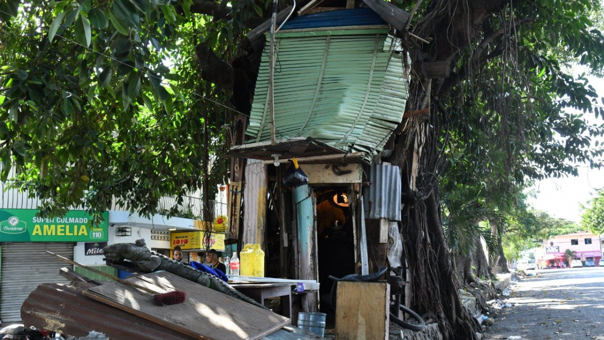 Luego de 35 años el hombre del árbol cumple su sueño de tener una casa