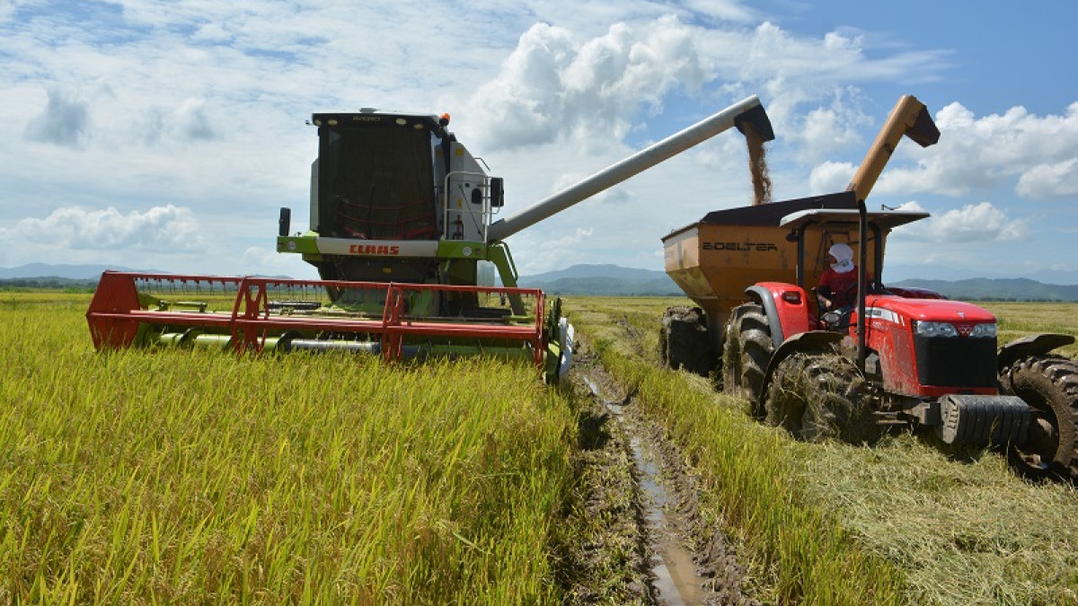 Subsidios de fertilizantes en República Dominicana