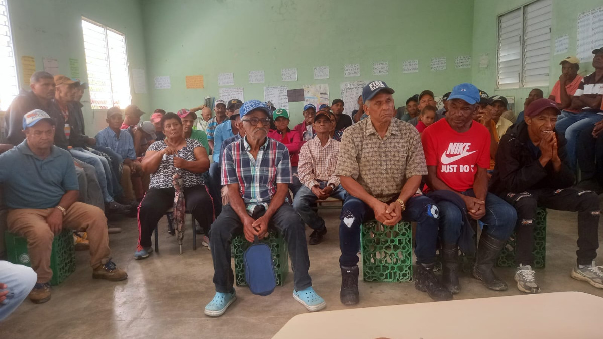 Caficultura dominicana enfrenta crisis, importaciones dominan.