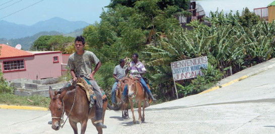 Los burros son un medio de transporte en Juncalito.