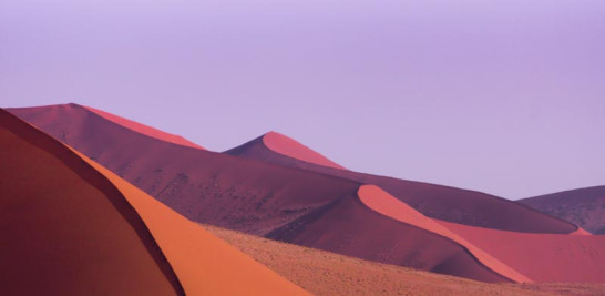 SOBRE EL DESIERTO. De acuerdo con la Unesco, Namib es el único desierto costero en el mundo que incluye campos extensivos de dunas influenciados por la niebla, lo que permite que una cantidad considerable de plantas y animales se hayan adaptado al clima y sobrevivan.
