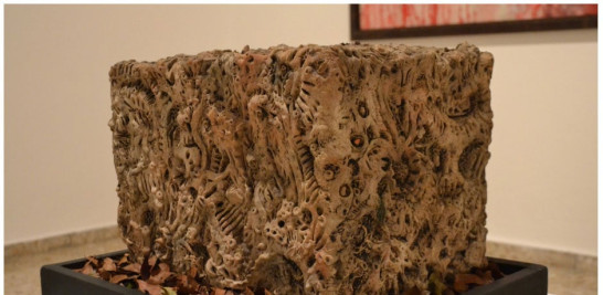 La casa de las miradas. Cerámica. Terracota y óxidos, base de madera y hojas secas. Premio único de Cerámica en la XX Bienal Nacional de Artes Visuales (1996). Yaniris López/LD