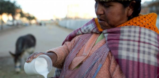 En imagen del 24 de mayo de 2016, la vendedora de leche de burra, Andrea Aruquipa, una mujer indígena aymara sirve un vaso de leche de su burra para un cliente en El Alto, Bolivia. Tienes que tomar con fe la leche de burra y tienes que creer. Me ha sanado de la neumonía. Antes tomaba seguido, ahora otra vez estoy sintiendo un poco de dolor por eso estoy volviendo a tomar la leche de burra, comentó Aruquipa. (AP Foto/Juan Karita)