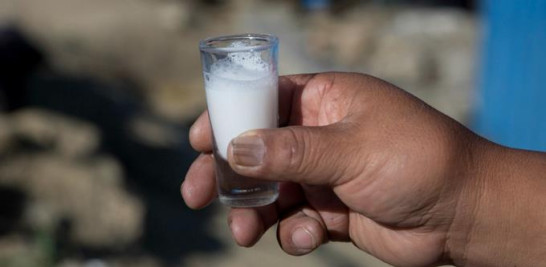 En esta imagen del 12 de mayo de 2016, una mujer indígena aymara sostiene un pequeño vaso de leche fresca de burra antes de beberla en El Alto, Bolivia. Elizabeth Cañipa, señaló que no hay un estudio científico que pruebe una propiedad curativa de la leche de burra. (AP Foto/Juan Karita)