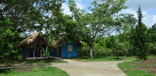 Dos de los atractivos del sendero serán la casa del explorador botánico, un espacio para mostrar cómo realiza este profesional su trabajo de exploración, y una casa campesina dominicana construida con palma. Glauco Moquete