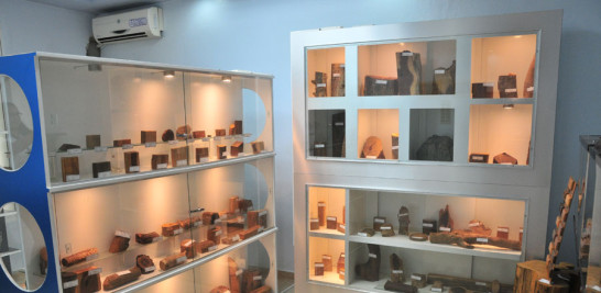 Xiloteca. La colección de madera de Cicero es la más amplia a nivel nacional.