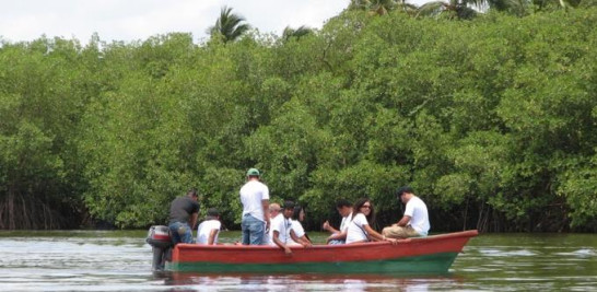 PERUCHO. Los espesos manglares de la Gran Laguna, en María Trinidad Sánchez. Los sistemas de manglares más importantes de República Dominicana se desarrollan en la costa Atlántica. Yaniris López/LD