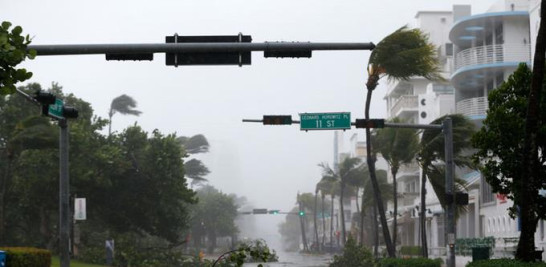Foresta. Destrozados de infinitas maneras, arrancados de cuajo, partidos por la mitad, miles de árboles de Miami sufrieron ayer el paso del poderoso huracán Irma por el sur de Florida, en Estados Unidos.