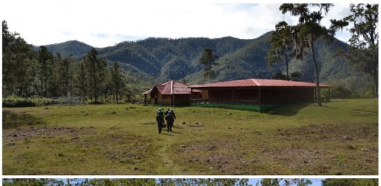 los habitantes de las comunidades cercanas se internaban en estos parques a coger cotorras y a buscar varas para sembrar tayota,