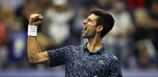 Juan Martín del Potro ha logrado superar varias adversidades para retornar a una gran final.

 

Novak Djokovic ha recuperado gran terreno y retornado a la cima del tenis mundial.