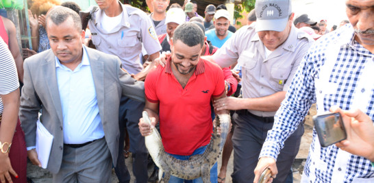 Protección. Coqui, así fue apodado el cocodrilo que fue capturado en el sector Sabana Perdida, de Santo Domingo Norte.