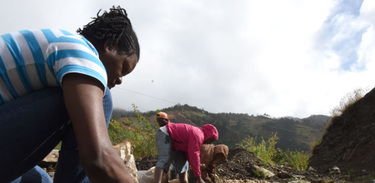 Jornaleros. Los haitianos trabajan como jornaleros en la producción y recolección de papa y otros cultivos en la zona próxima al macizo de Valle Nuevo, terreno que corresponde al parque nacional Juan Bautista Pérez Rancier.