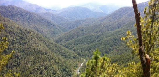 Muchos viajeros aseguran que la ruta Mata Grande-valle de Bao es una de las más bonitas de la cordillera Central. Manuel Peralta Ureña
