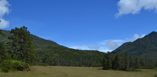 El prado verde del valle del Tetero, en el parque José del Carmen Ramírez. Yaniris López