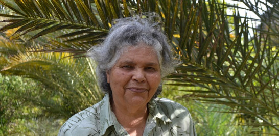 Doña Rita vive en San Cristóbal. Por más de 40 años se ha dedicado al cultivo de plantas en peligro de extinción. Mis manos son de obrero, suele decir, en alusión a la labor que realiza todos los días en el campo. Yaniris López/LD