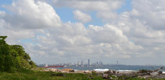 A lo lejos, el horizonte de la ciudad de Santo Domingo visto desde los humedales de Nigua. Yaniris López