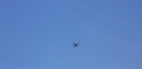 Imagines del mercado y del drone que vigilaba este día el mercado binacional.