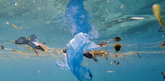 Los plásticos representan el 75% de todos los desechos sólidos que llegan a los mares y océanos.