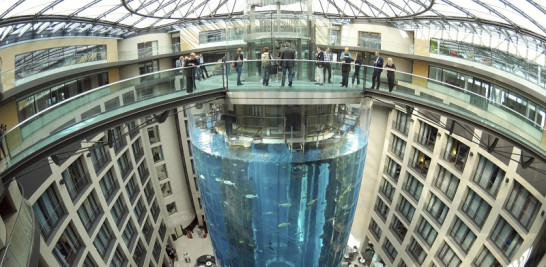 Vista del AquaDom, el mayor acuario cilíndrico independiente del mundo, en Berlín (Alemania) EFE/Joerg Carstensen