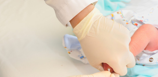 La muestra de sangre se extrae pinchando el talón del bebé.