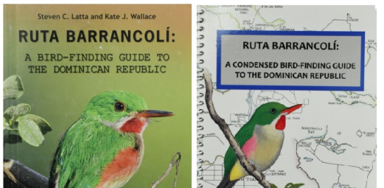 En estos 22 años, Kate ha publicado y elaborado importantes materiales educativos sobre las aves de República Dominicana.