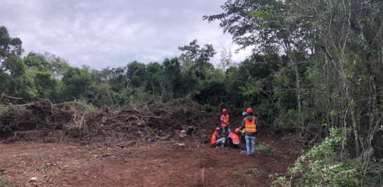 El desmonte del área protegida comenzó el pasado martes. Grupo Jaragua