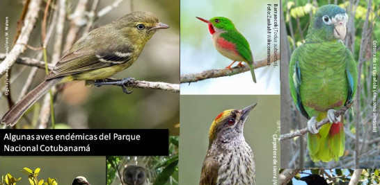 El parque es un punto clave para la observación de aves en República Dominicana.