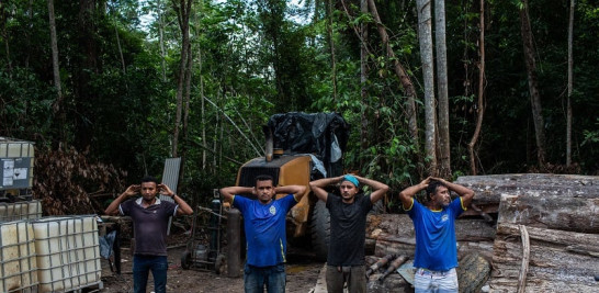 Trabajadores sospechosos de realizar tala ilegal son interrogados por la policía ambiental en el estado brasileño de Pará, en octubre de 2019. (Victor Moriyama/The New York Times)