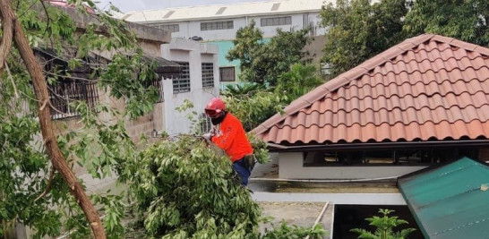Un árbol que cayó sobre el techo de la Sociedad Benéfica Española, ubicada en la calle Horacio Blanco Fombona, del sector Ensanche La Fe. Foto de la Denfensa Civil.