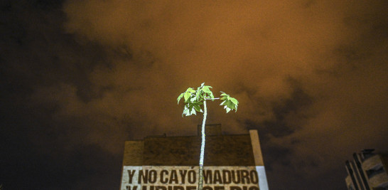 Proyección de una imagen en la pared. / AFP