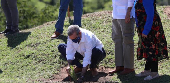 El presidente Abinader encabeza una jornada de reforestación del gobierno. ARCHIVO