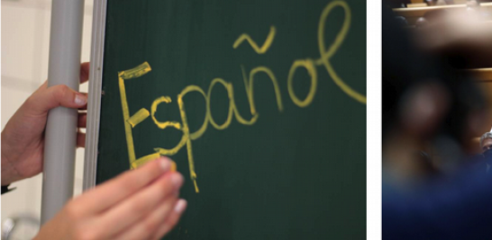 El idioma de Cervantes fue denostado por el Congreso y el Gobierno en España .La ministra de Educación, Isabel Celaá, en el Senado.(EFE)