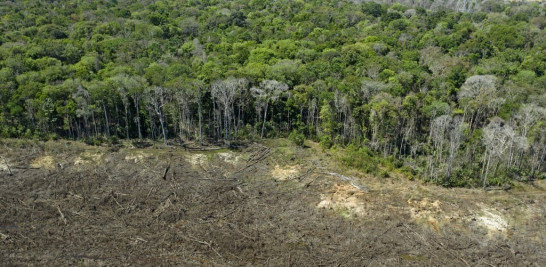 En esta foto de archivo tomada el 7 de agosto de 2020, vista aérea de un área deforestada cerca de Sinop, estado de Mato Grosso, Brasil. Florian Plaucheur / AFP