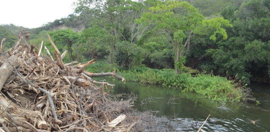 La creación de mesas de trabajo de coordinación mutua entre el Ministerio Público Ambiental y las alcaldías ha permitido la recuperación de muchísimas áreas verdes, arroyos y ríos, dice Contreras.  Proedemaren