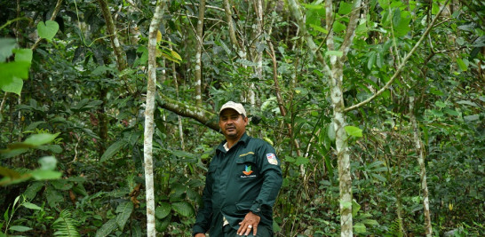 Geraldo Parache tiene 14 años laborando como guardaparques del Parque Nacional Los Haitises.  RAÚL ASENCIO/LD