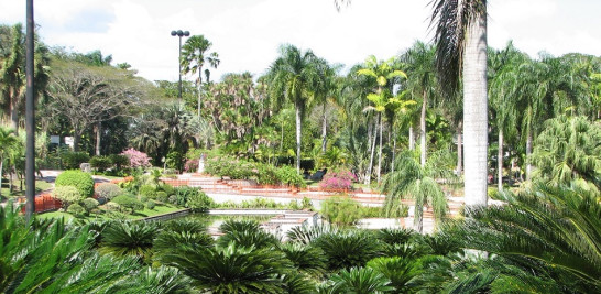 Panorámica del Jardín cuando todavía estaba la plantación de Cycas revoluta en las áreas verdes de entrada al parque.  Yaniris López / LD