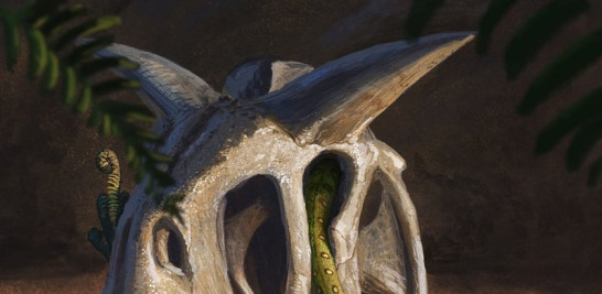 Primeras serpientes tras los dinosaurios (ilustración Joschua Knuppe)