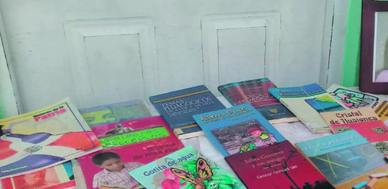 La lectura sigue a la vanguardia en Puerto Plata aunque el comercio del libro no.