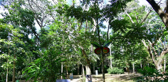 El Ecoparque se encuentra unos 5 kilómetros al noreste del centro urbano de Salcedo.  Raúl Asencio
