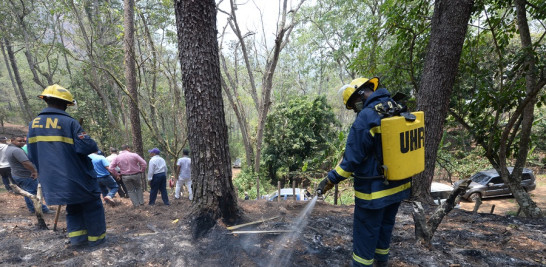 En el año 2020 ocurrieron 224 incendios forestales que dañaron 45,694 tareas.
