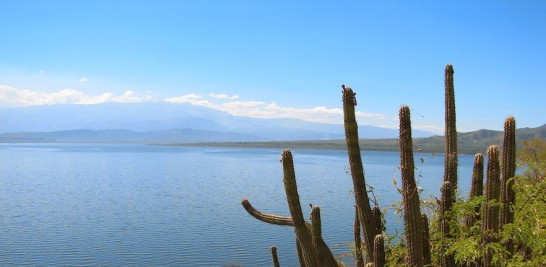 El lago Enriquillo forma parte de la Reserva de la Biosfera Enriquillo-Jaragua-Bahoruco, la primera de República Dominicana. Estos son enclaves especiales escogidos por el Programa sobre el Hombre y la Biosfera de la Unesco. Yaniris López / LD