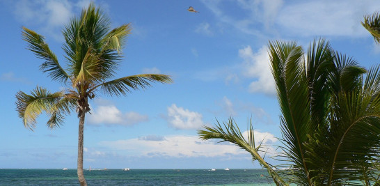 Playa en Punta Cana. Foto fuente externa.