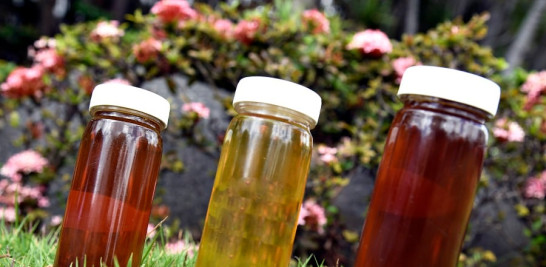 Mieles ganadoras del Concurso Nacional de Mieles 2022:  Primer lugar en miel clara: Fundación Grupo Puntacana (La Altagracia); ámbar clara: Pedro Castellanos, del apiario Vallejito (San Cristóbal); y ámbar oscura: Pedro Castellanos, del apiario Vallejito.  Cirilo Olivares / LD