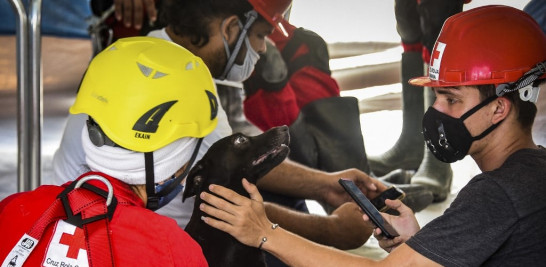 Los trabajadores de la Cruz Roja ayudan a un perro rescatado de los escombros del Hotel Saratoga, en La Habana, el 8 de mayo de 2022. El número de muertos por una explosión accidental en un hotel de lujo en el centro de La Habana aumentó a 30 el domingo, dijeron las autoridades, mientras los bomberos continuaban para peinar los escombros. ADALBERTO ROQUE / AFP