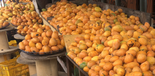 El mango es una de las frutas más consumidas en el país.