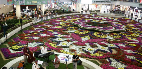 Desde una tarima se puede divisar todo el esplendor de las más de 200,000 flores. EFE/ Luis Eduardo Noriega