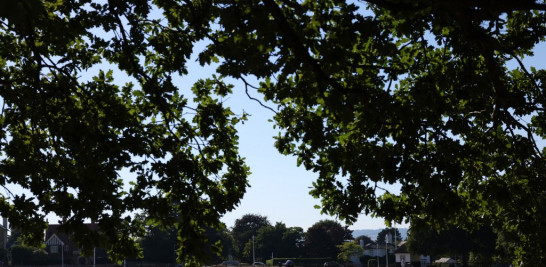 La gente camina por el suelo de hierba seca y chamuscada en Sevenoaks en Kent, al sureste de Londres, el 12 de agosto de 2022. El gobierno del Reino Unido declaró oficialmente el viernes una sequía en franjas de Inglaterra, incluido Kent, luego de meses de precipitaciones bajas récord y temperaturas altas sin precedentes. en semanas recientes. Hollie Adams / AFP
