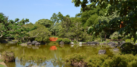 Jardín japonés. Yaniris López / LD