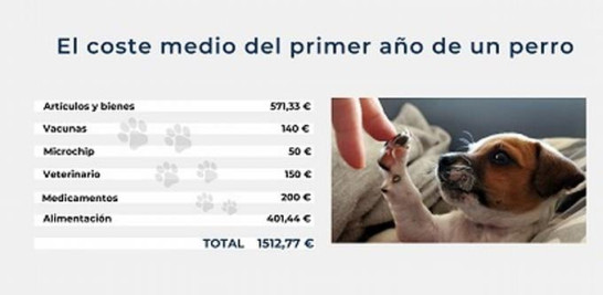 Costes (en euros) del primer año de manutención de un perro en España./EFE.