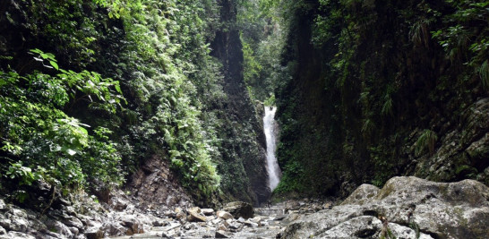 Camino hacia cascada la Taína. Jorge Luís Martinez/ Listín Diario.